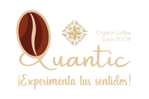 quantic-logo